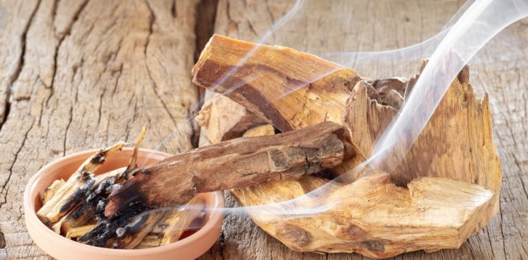 La creciente popularidad del Palo Santo: ¿Cómo aprovechar sus propiedades de limpieza energética? uCqMBQ4Cf_1256x620__1
