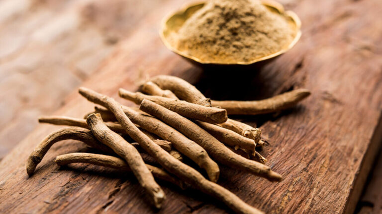 ¿Cómo tomar Ashwagandha cápsulas para mejorar el sueño, perder peso y optimizar tu salud? Ashwagandha-hierba-dormir-combatir-controlar_1624348332_146320189_1200x675