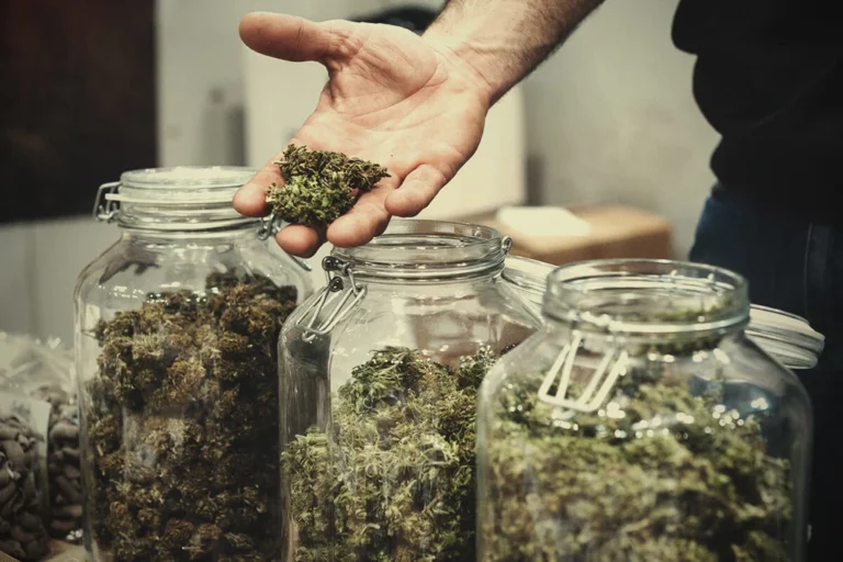 club de weeed